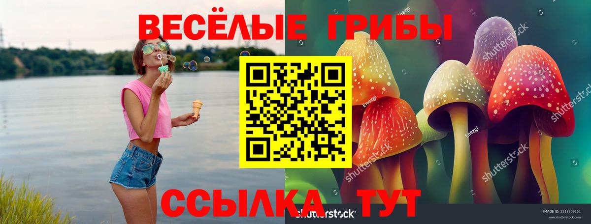 Тверь  Псилоцибиновые грибы MAGIC MUSHROOMS  Псилоцибиновые грибы Psilocybine cubensis  Вход с VPN 